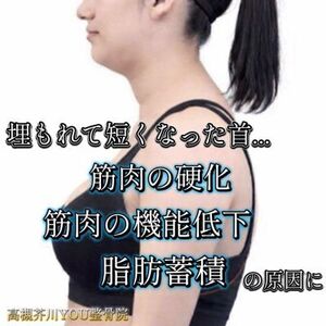 首こり・肩こり慢性化の原因は❝埋もれて短くなった首❞　高槻市の整骨院「高槻芥川YOU整骨院」